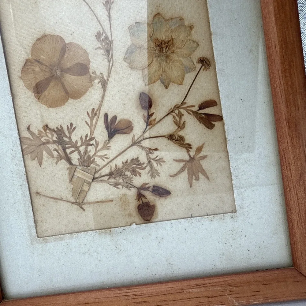 Vintage Pressed Real Flowers Wooden Frame Cottagecore Prairie 7x5